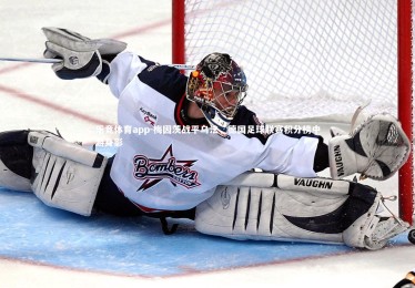 乐竞体育app-梅因茨战平乌法，德国足球联赛积分榜中游身影