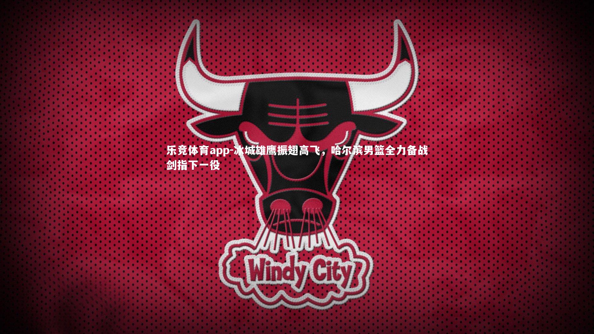 冰城雄鹰振翅高飞,哈尔滨男篮全力备战剑指下一役