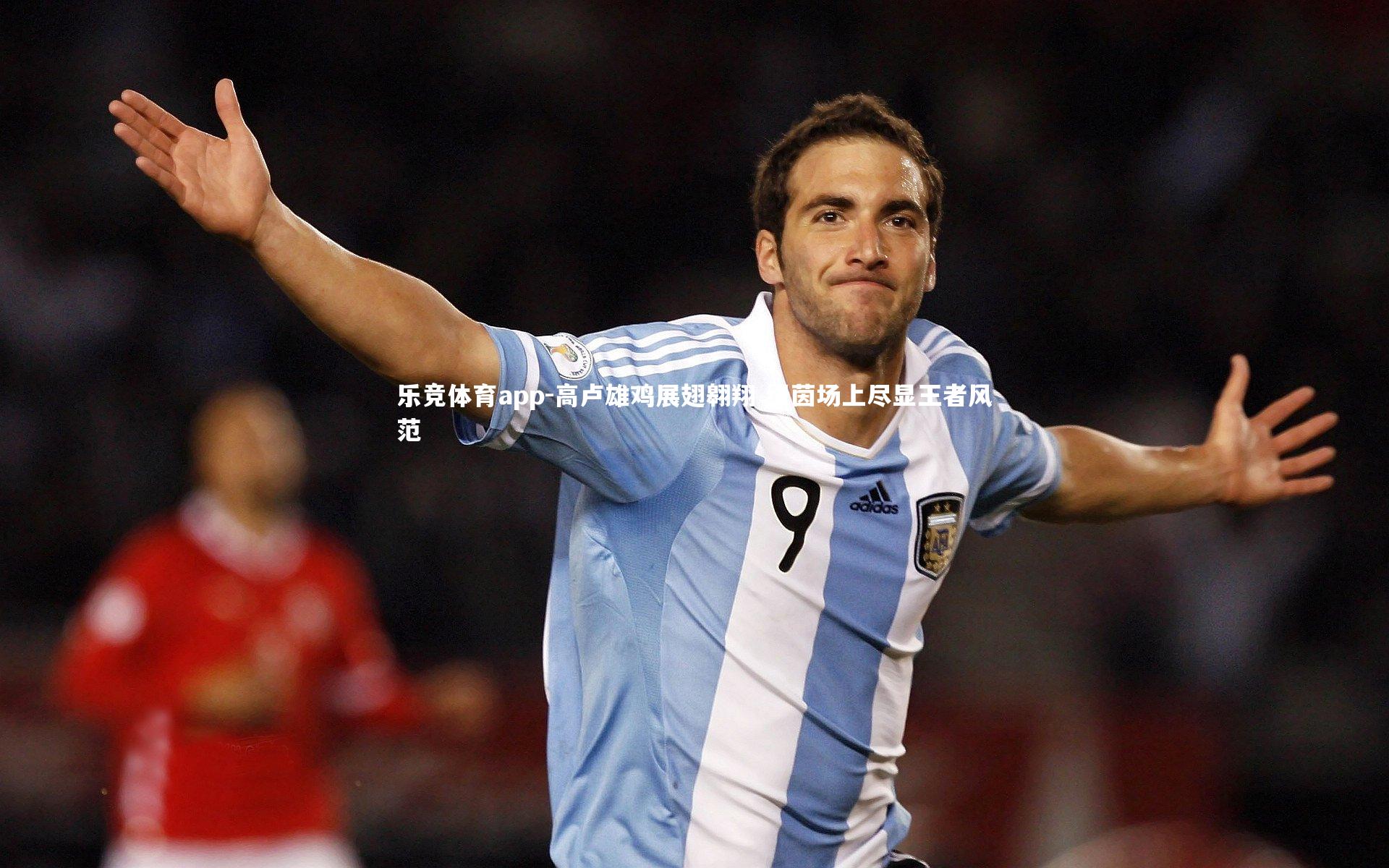 高卢雄鸡展翅翱翔 绿茵场上尽显王者风范